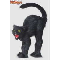 Pisica neagra