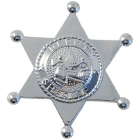 Insigna Politist