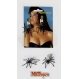  Costumatii de Halloween - Accesorii Diverse Cercei Paianjen