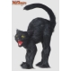  Pisica neagra