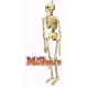  Schelet decorativ - Halloween