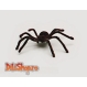  Paianje Tarantula cu bold - MARE