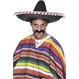  Costumatii Carnaval, Costume - Palarii & Sepci Palarie de Mariachi Neagra