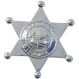  Insigna Politist