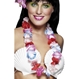  Colier Hawai